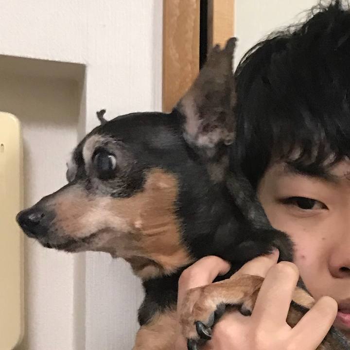 1cf25378 f5cb 43e7 a5fe d5f4217b2188 1555064727391