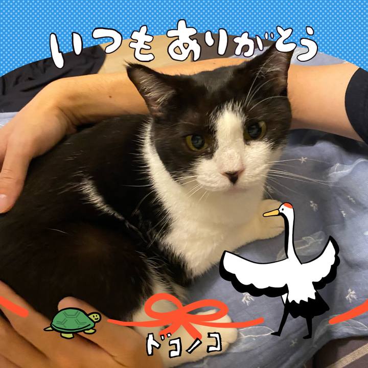 1cf291ff 1973 4620 9727 5a967253820a 1727092413521