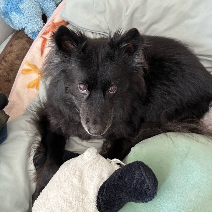 1cf29daf e7d7 4d04 b11f fbcf4c6ec0a2 1762215233571