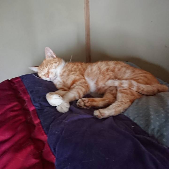 1cf2b376 10cd 4257 942c 248473d54aa6 1591419428342