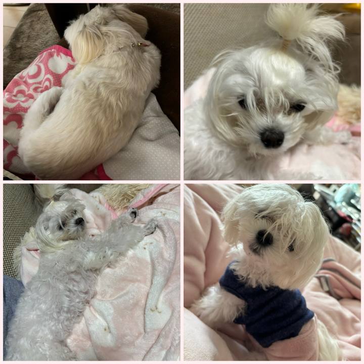 1cf2d345 7181 463c b288 3ce23e82065b 1732268292612