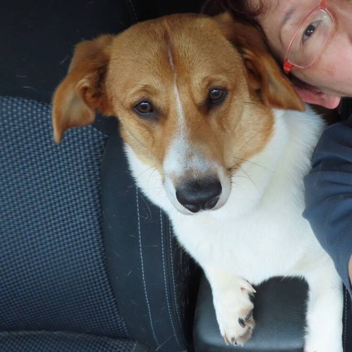 1cf35629 d964 4925 9e47 f9844701b467 1623671011958