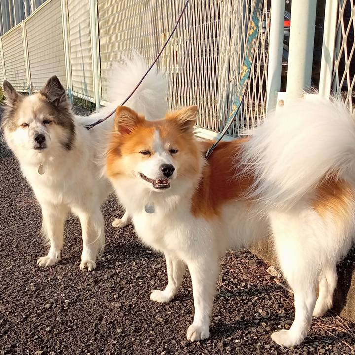 1cf37423 b83f 47f2 ac90 87dfbf24d4e2 1637231288426