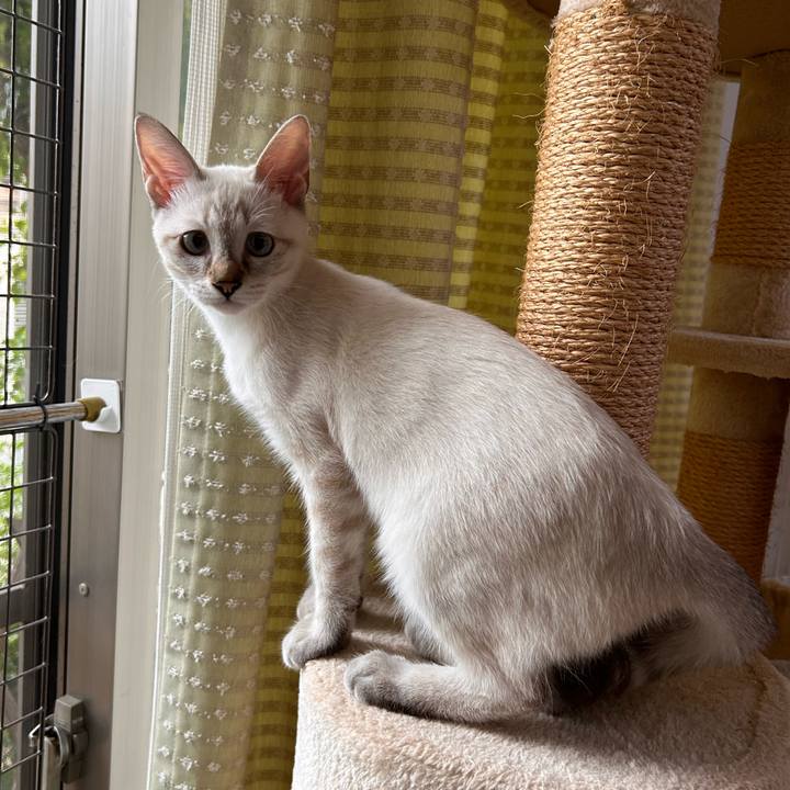 1cf37853 ab5d 473d abd9 2a5492db7ee4 1726717338834