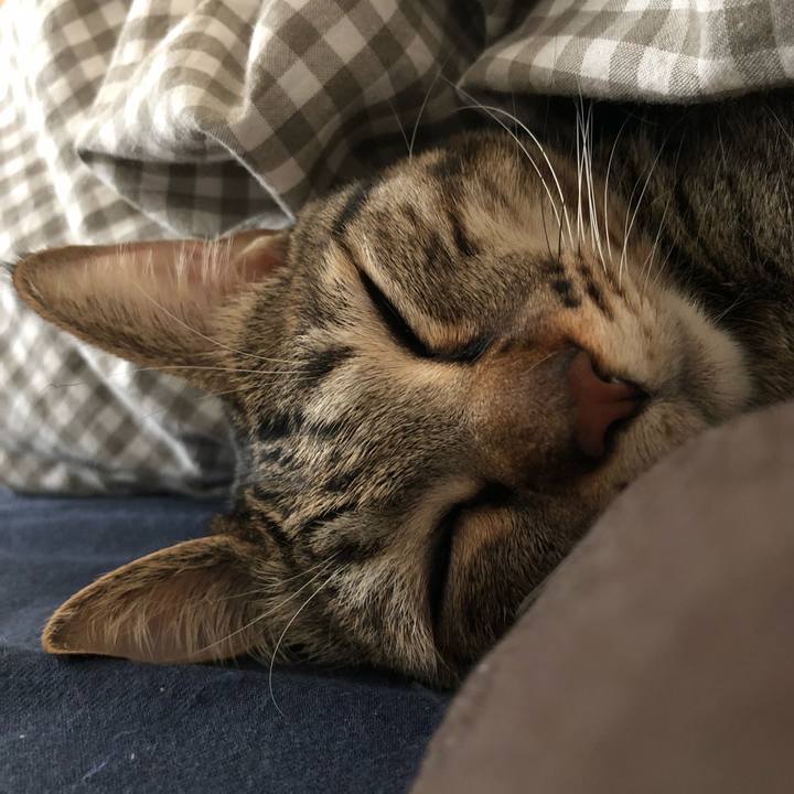 1cf37951 b2c9 4bf2 868b 7e3aecdc2976 1519350404290