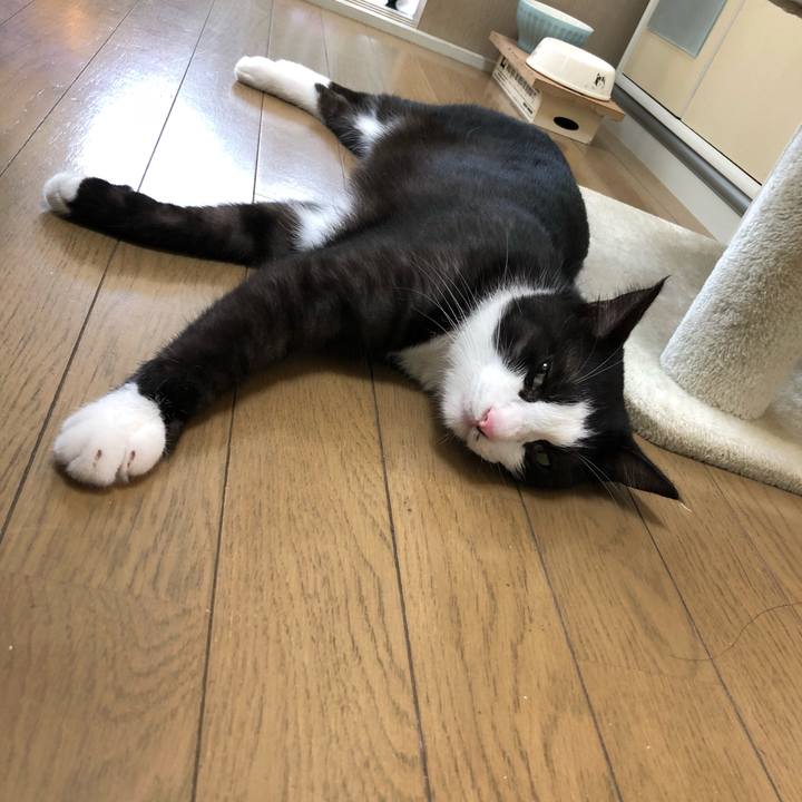 1cf38023 4c82 491e a073 ce89e65ddab4 1535588486524