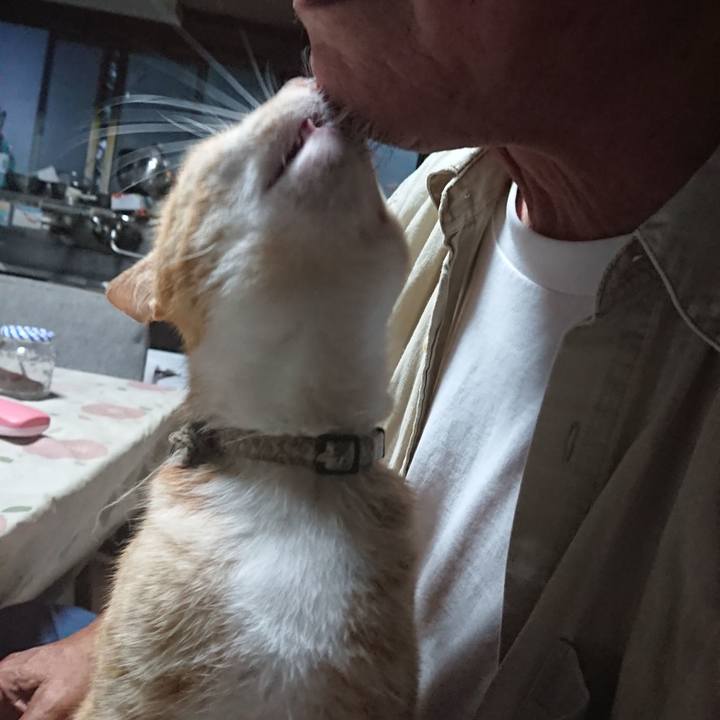 1cf3a84b 6018 4795 9e61 604d8b41366a 1594152170612