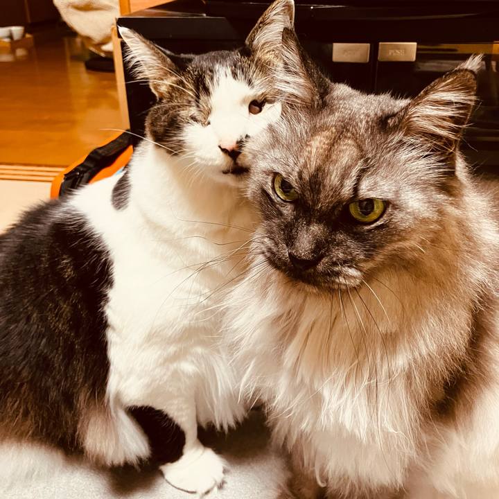 1cf3add9 5322 4202 9416 8326ee4a3d39 1739712639773