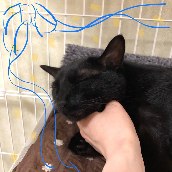 1cf3b1e6 383a 40e8 950f dd5dfd342f92 1526823708990