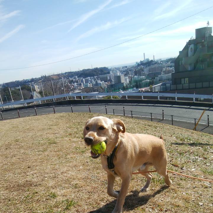 1cf3bb6b 697c 47a9 b50b 70c584bd464a 1515331758035