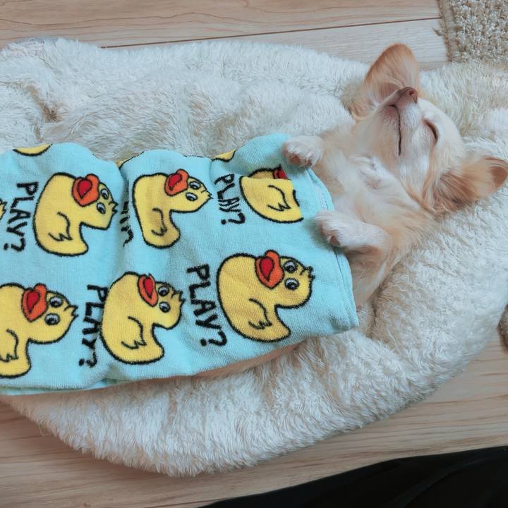 1cf3be80 a99d 4a13 bc9f 54fb4158b8e5 1694305560270