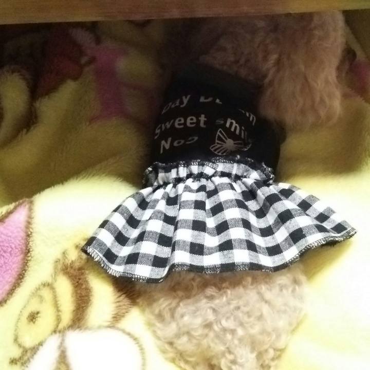 1cf3f65a 9736 4169 8414 5b7cb9f43a79 1557753494029