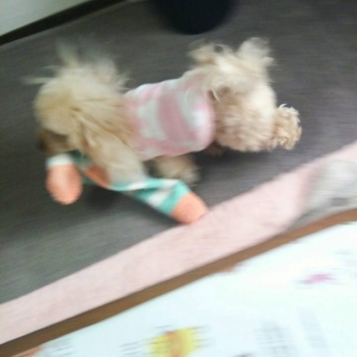 1cf446a4 7834 43f9 9a45 f2916e65e6d0 1547551384809