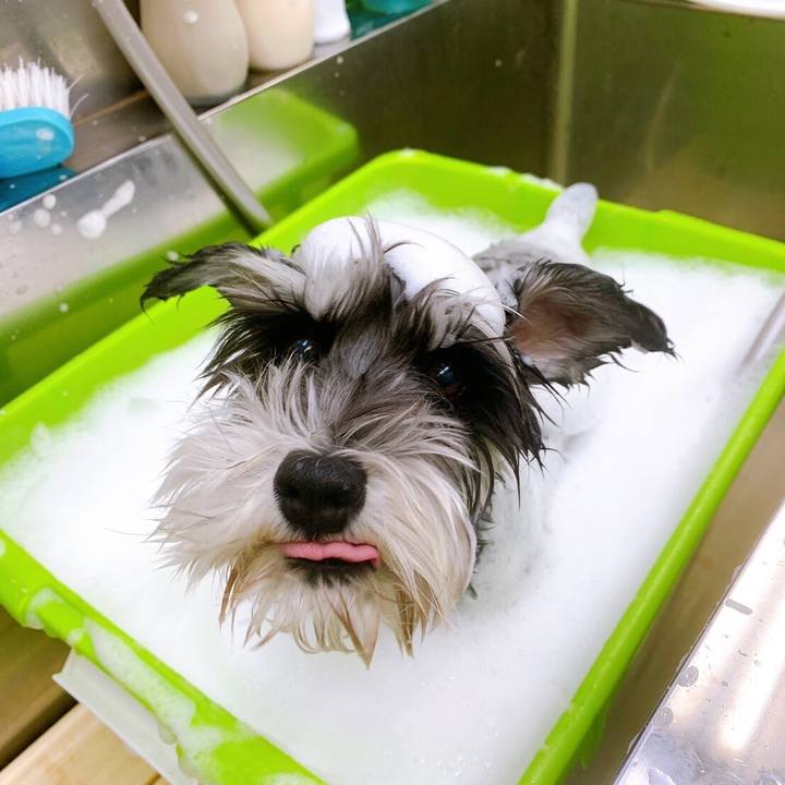 1cf4b91e 35e0 498d 887e 17eb8a3e09aa 1637644850359