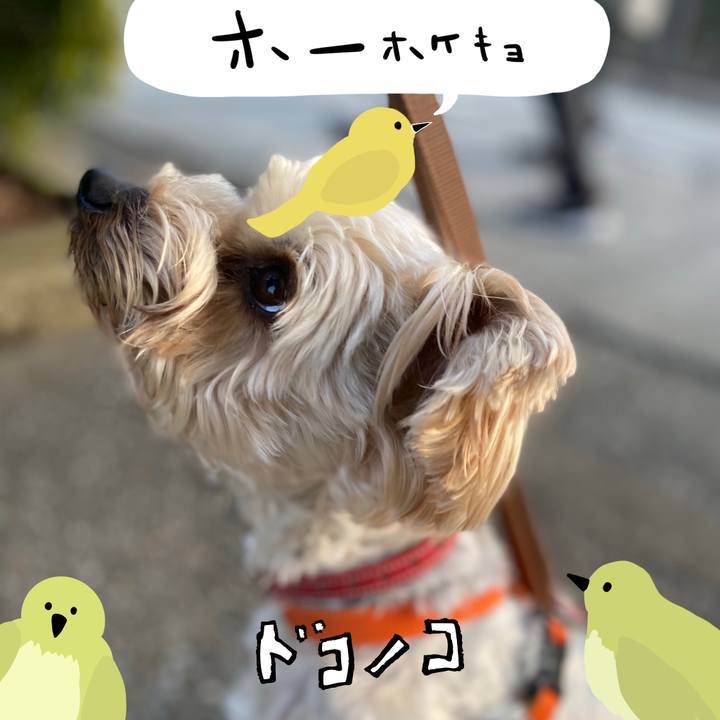 1cf4f3e9 13dd 4298 b49d 2d035873c476 1711017566582