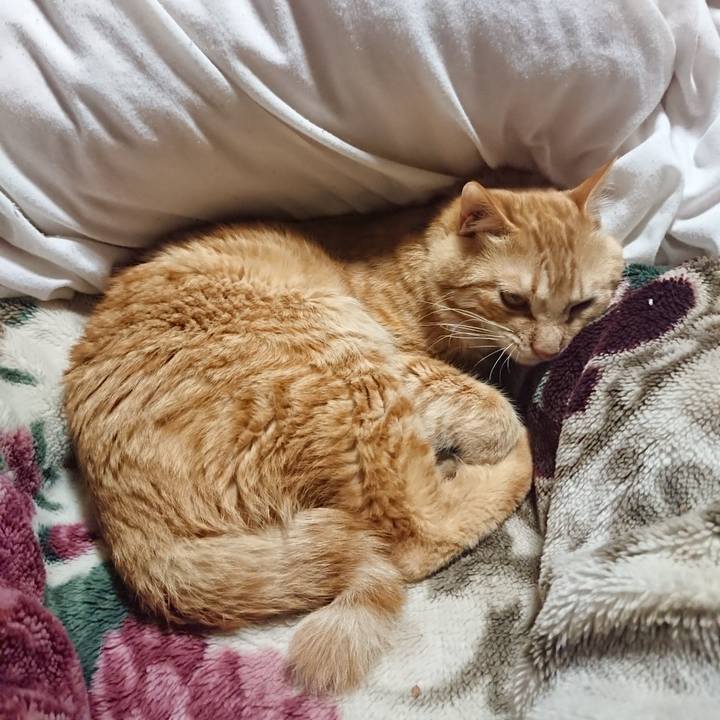 1cf4f439 3536 4aac 91d2 69af31e64e02 1645793081297