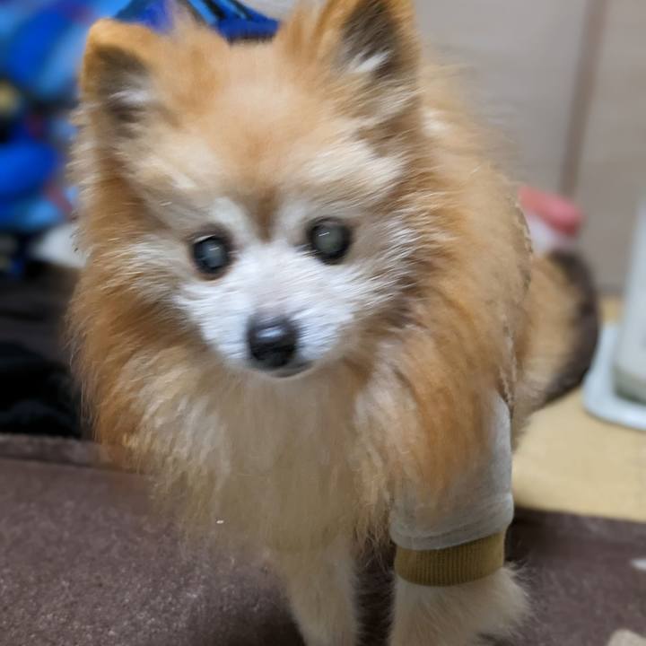 1cf5003d 49e3 4c92 b214 e9336a84cb2c 1709114804429