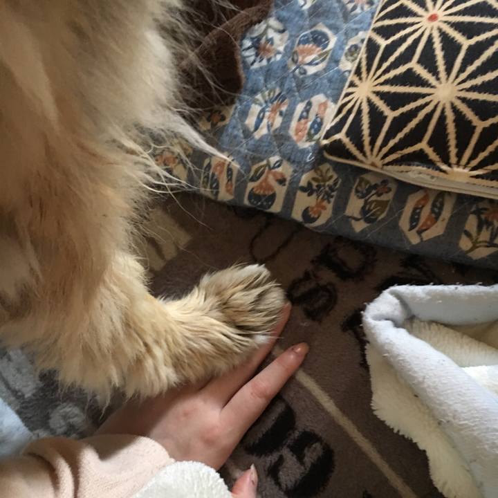 1cf54e11 fb43 433b 896b 65eb5ab684f9 1549856086952