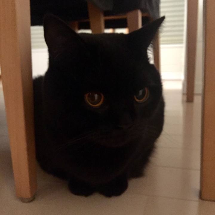 1cf57ee2 8f84 4d85 9d2f 196264ca3ebc 1545828388898