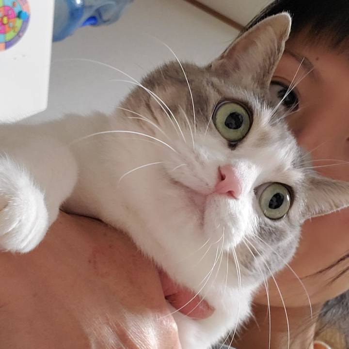 1cf58692 f190 4602 80fb 24b155cdd1ba 1701608319249