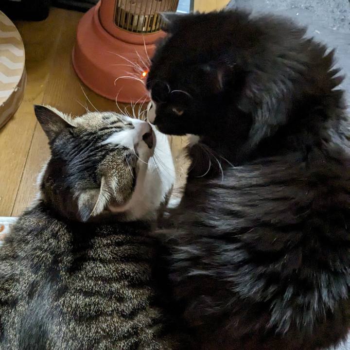 1cf58dd8 e5ba 489c 8e1c b04524f89bb9 1709422518992