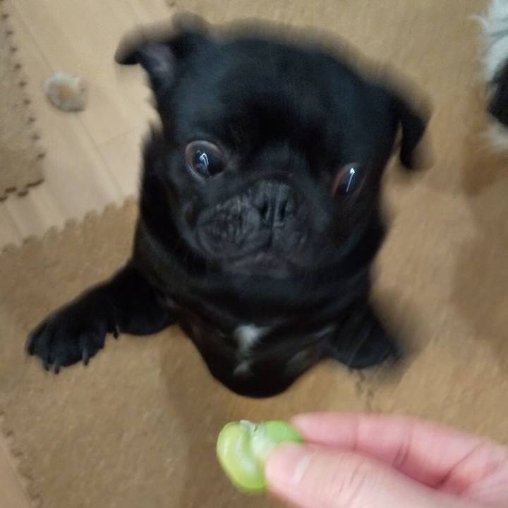 1cf59315 9179 4992 9de6 2a49959d8a11 1588250803758