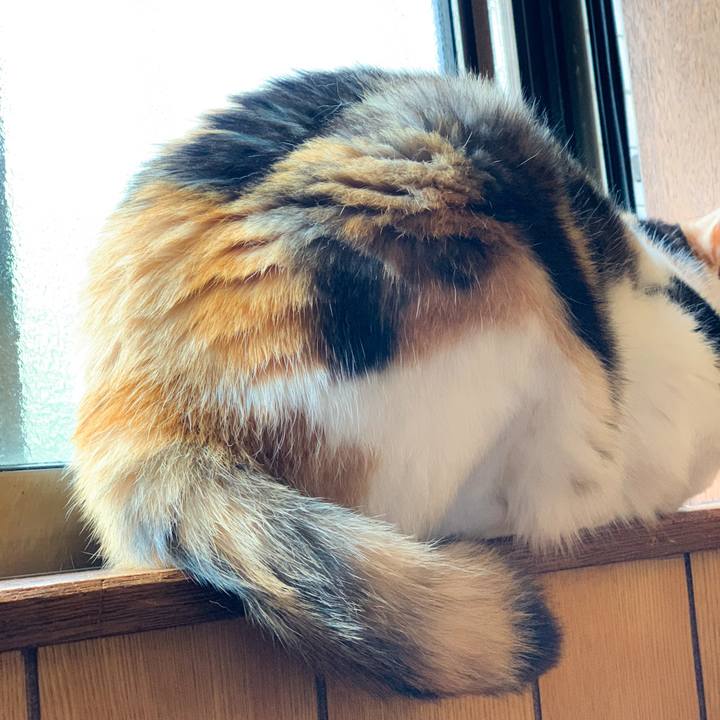 1cf59752 d33f 414f a7c7 41aefe5cd518 1594606128617