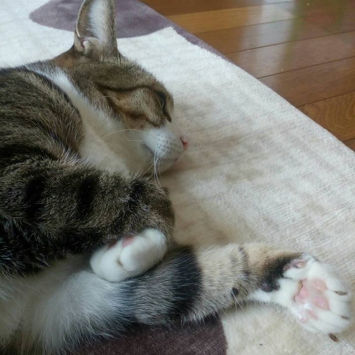 1cf5d1b3 9b0b 4c85 8ec8 85ab778d3c27 1520476985423