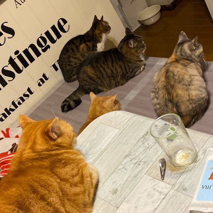 1cf5e664 c3c6 4910 8824 b41b6415ea66 1617285398358