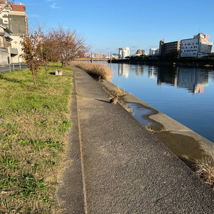 1cf5e8ae a2f7 434f ab74 65db75049442 1669630746055