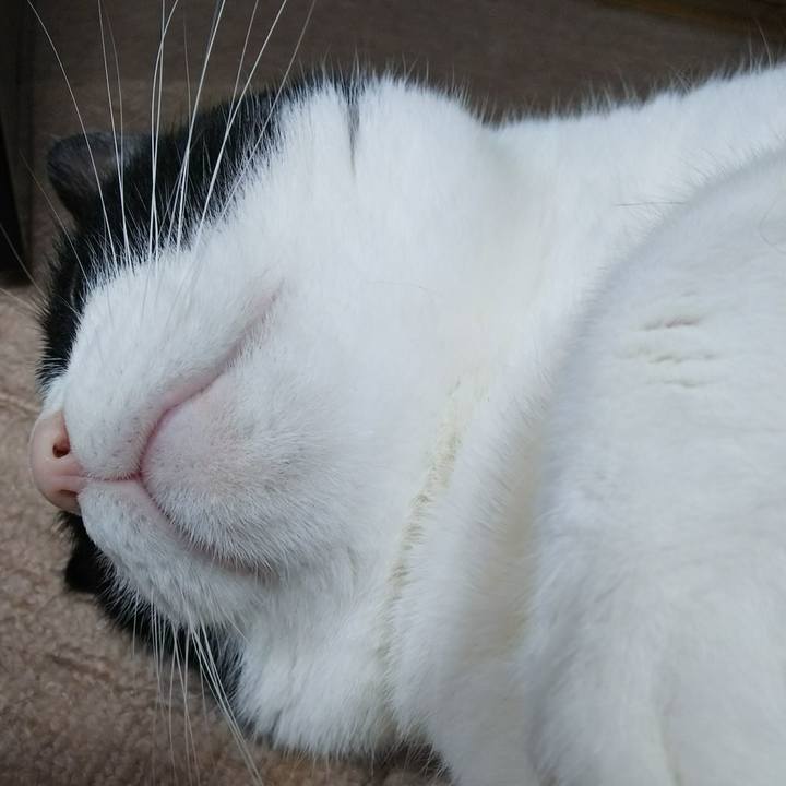 1cf5f4c5 aa3e 4d89 849c 1597ffba6310 1533430383825