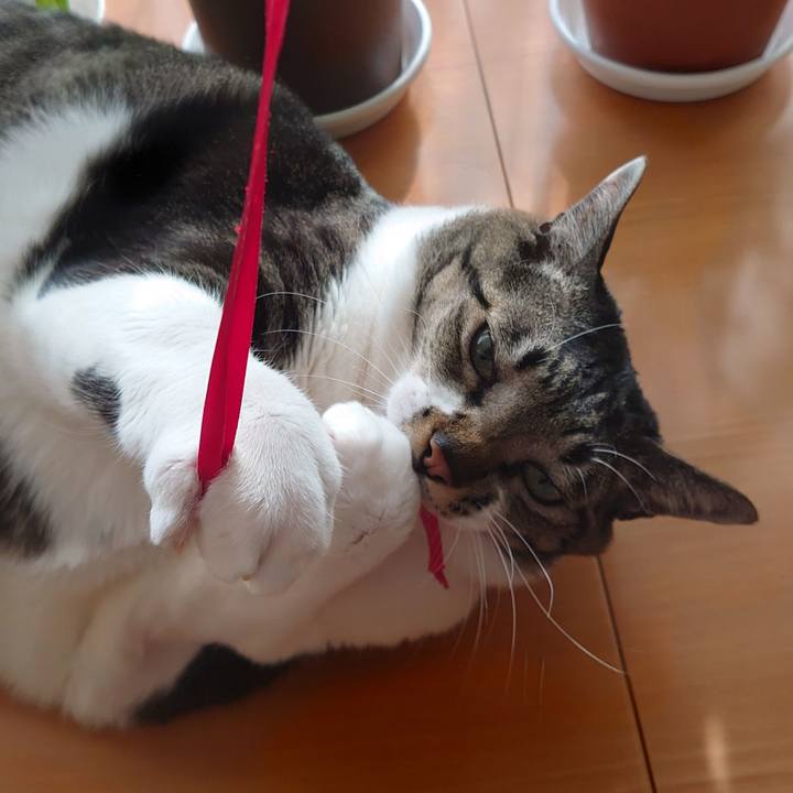 1cf627d7 ee5b 450c b5f8 f27b89851c23 1613951786228