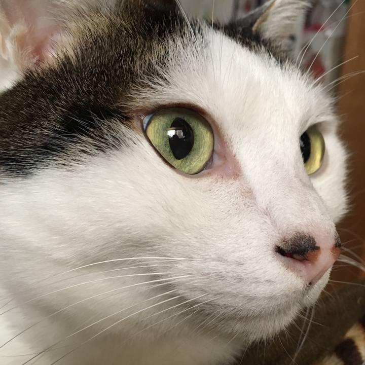 1cf63658 428c 4f43 93e8 492d7ca6942a 1516406040602