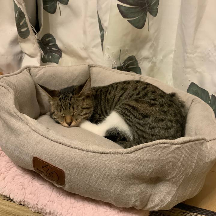 1cf67258 dcfa 486b 8270 7a498eee2881 1631367503858