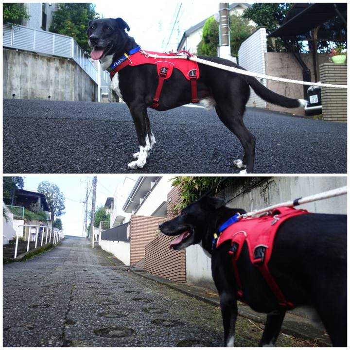 1cf69eb2 3835 40d2 8d2c 2bbf16ff7966 1666140879768