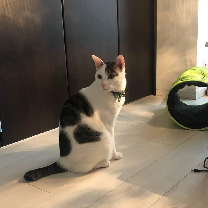 1cf6dc3f a34a 43c9 bc43 fae092844df7 1566218607181