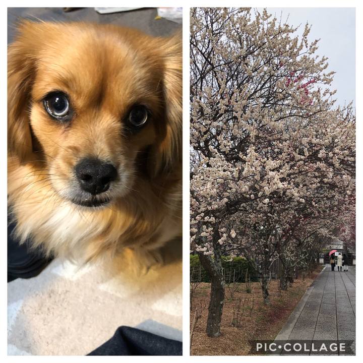 1cf77a40 0e69 4cc3 bc1e 533f3c34267a 1552266114393