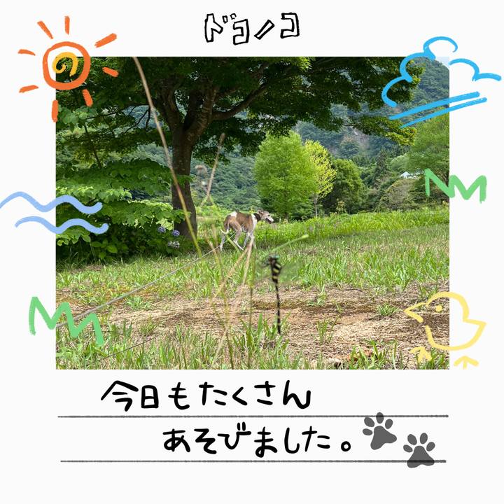 1cf7a73f 06ff 48cb 9922 ace78c177d48 1755159164889