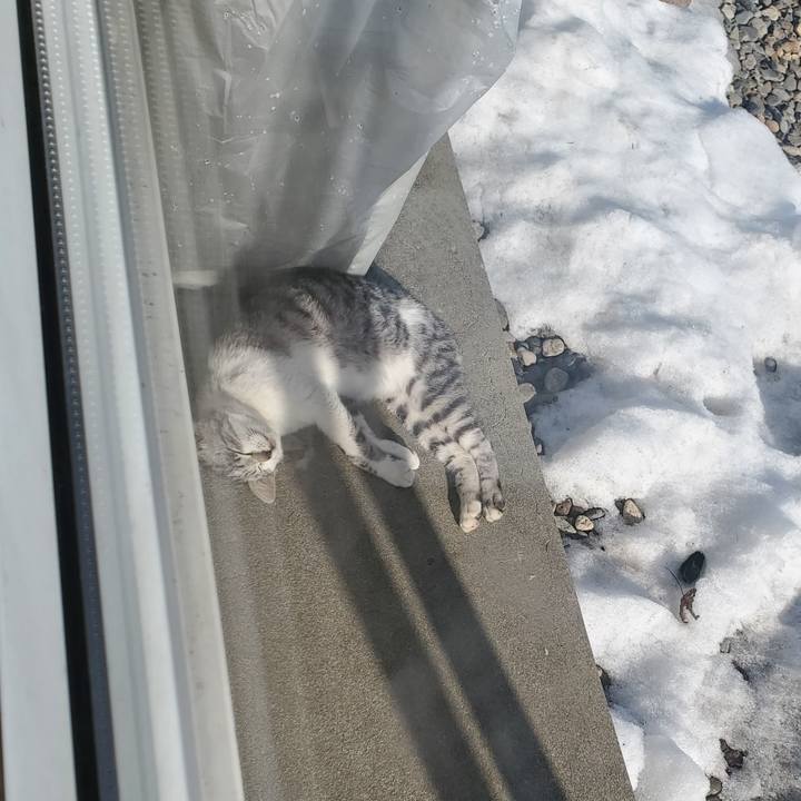 1cf7d24b 756c 49b3 ab89 9d2207d745e8 1711625345176