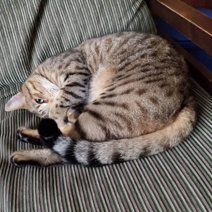 1cf80c9e 6799 4475 a9d9 aa4ab3d0169c 1634722742574