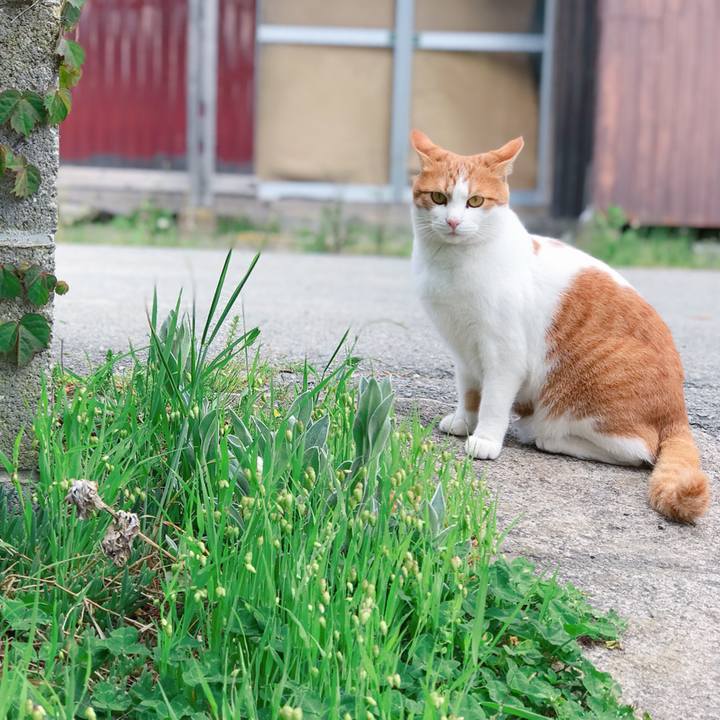 1cf81d59 49d6 4d96 ac8f b17f92df5c58 1525585830741