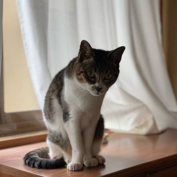 1cf82641 cb1b 43b2 84e4 6e3238fcc777 1650938785873