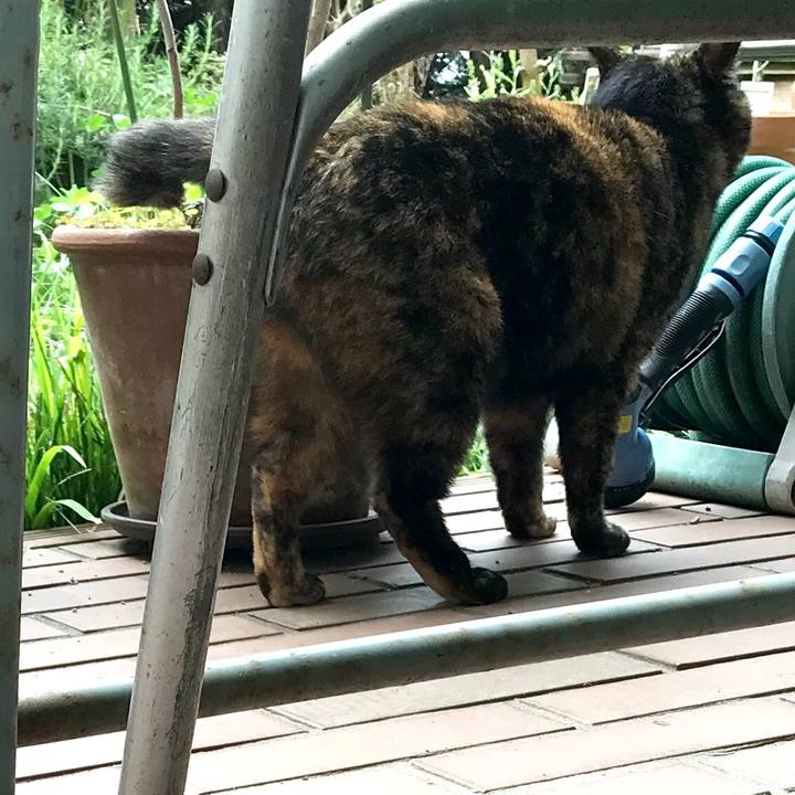 1cf83432 134f 4566 ad52 33c16fbc106c 1556362072752