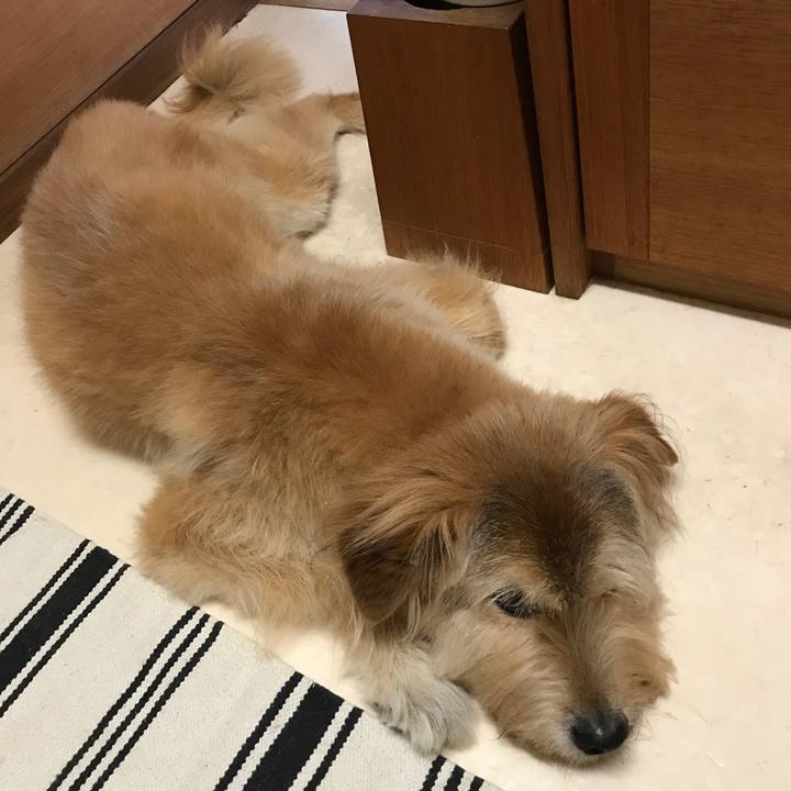 1cf847b3 bc35 438f ab16 5b38468bfdf2 1533605146263