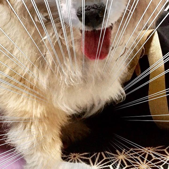 1cf866f9 72b1 48bf 91ca 241203328461 1591040646057