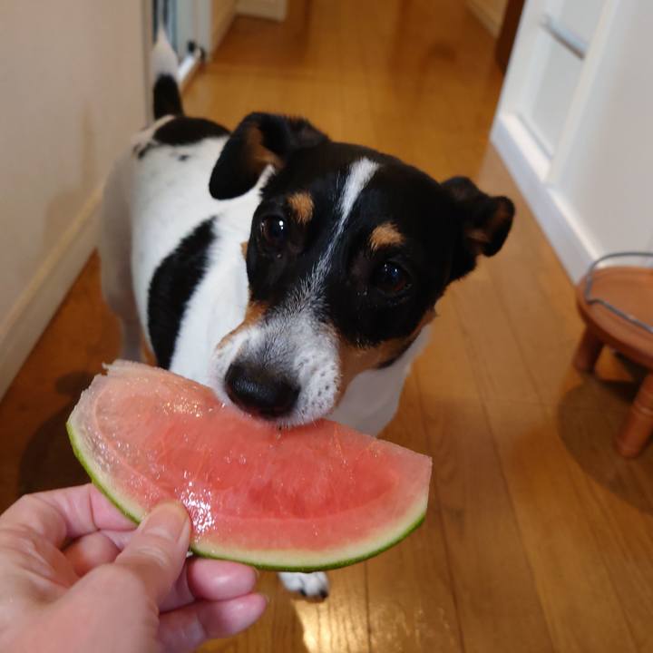 1cf86b74 de16 41ff 9db4 7b07e8b6d004 1718890714156