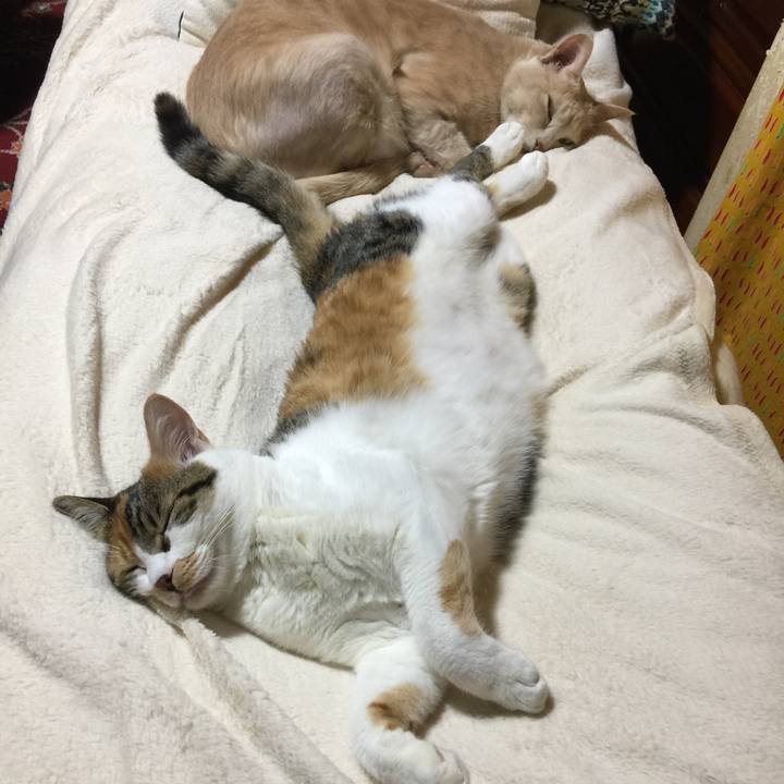 1cf88432 711c 43a1 b900 9b5321352d11 1664718918370