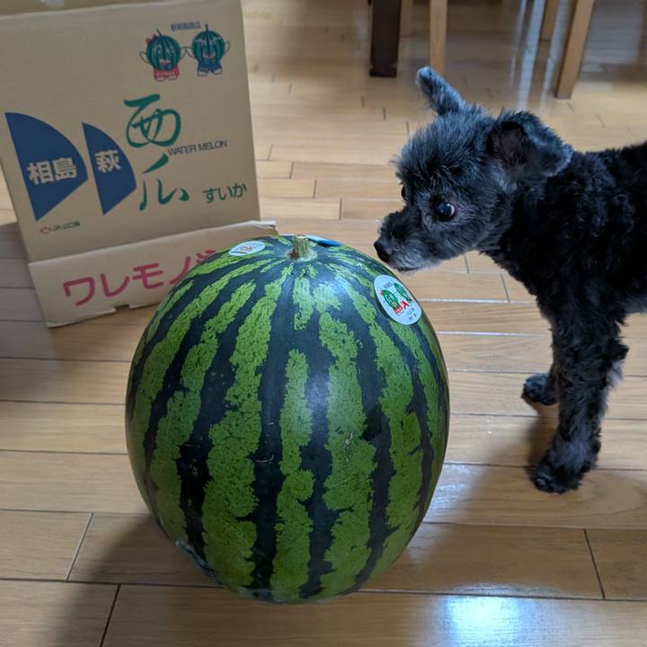 1cf8b040 1c25 499b 8aaf ae74465f5510 1749810099486