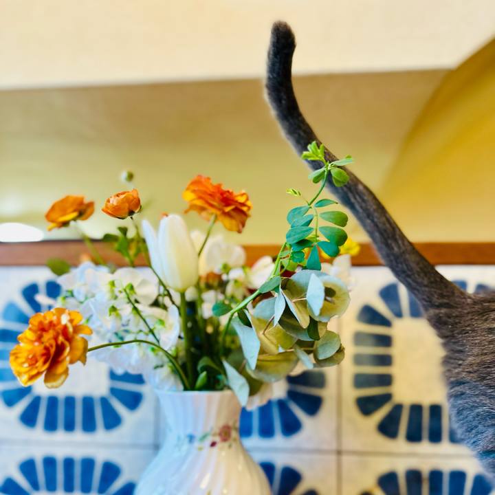 1cf8b143 dd84 4060 9f59 4f55bd31377c 1771539657878