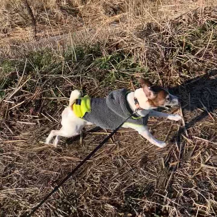 1cf8d931 31ce 4e3c bdf1 85c23b5e4626 1581279147701